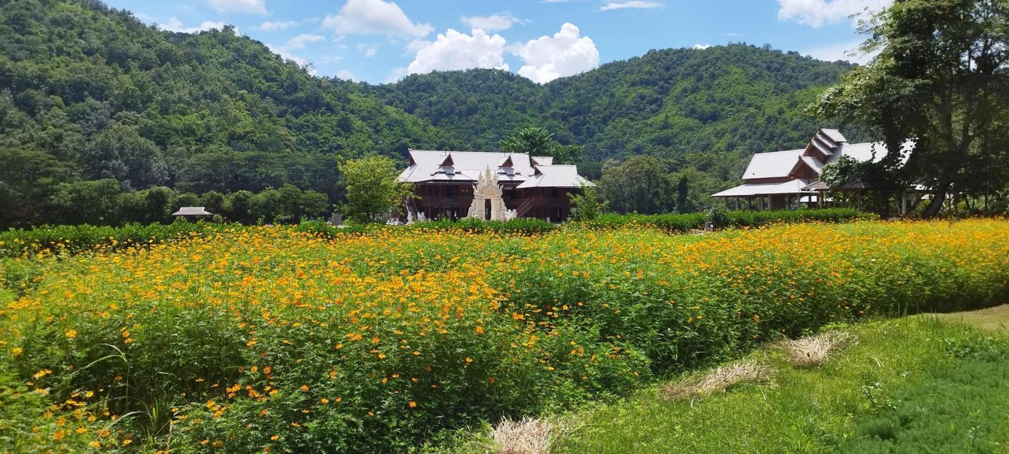 La Villa De Madame Su Чиангмай Экстерьер фото